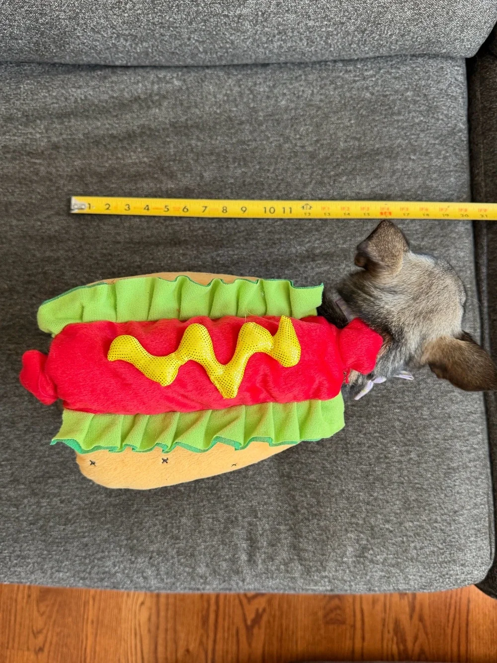 Hot dog, dog costume- small dogs
